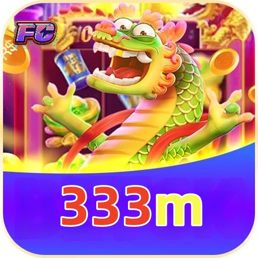333m Logo